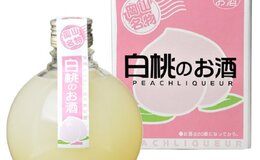 記事を見る