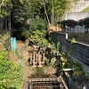 浄念寺川を歩く 河川争奪した川（横浜都筑）