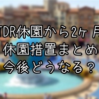 必見 絶叫系苦手な私がタワー オブ テラーを克服した方法 究極雨女ほのぷーのディズニー放浪記