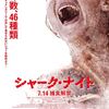 シャーク・ナイト　サメの恐怖映画には違いないけれど～