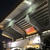 藤原さくら「10TH ANNIVERSARY 武道館大音楽会」@日本武道館 26.2.23