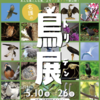 名護の鳥展 －トリテン－ 残り２日！