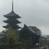 おばけ屋敷を覗いてみませんか？　東寺　桜