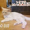 兄の事務所/作業場で密かに行われているDIY☆