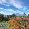 初冠雪の岩木山と八甲田山・津軽の食と産業まつりは寒かった