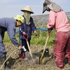 畑de植樹ワークショップ　〜食べられる森を目指して〜