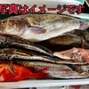 竹コース【4月中旬発送】船頭にお任せ！鮮魚ボックス（詰め合わせ) 海鮮セット：北海道産の魚介セット｜食べチョク｜産地直送(産直)お取り寄せ通販 - 農家・漁師から旬の食材を直送