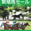 【ジェイエス・冬季繁殖馬セール2017(2/1開催)】～上場馬募集開始!(12/2迄)