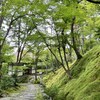 【常寂光寺】青もみじと苔が輝く癒しの山寺へ！初夏の新緑で心身リフレッシュ