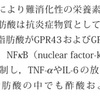 糖尿病と腸内環境の相関性について