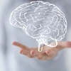 世界史の単語って、こんな方法で覚えてもいいの？？ 邪道は正義！ 〜センター世界史の攻略 勉強法編！〜