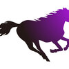 【追い切り注目馬】【カペラS】【師走S】【チバテレ杯】他　2024/12/8(日) 中山競馬　その意気