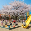 働く親以外も使える！「誰でも通園制度」で子育てが楽になるメリットと自治体ごとの違いを解説！