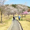 今年は桜を満喫できました。