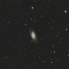 しし座の銀河 NGC2903