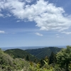 【高尾山・景信山縦走】新緑の奥高尾をお山歩