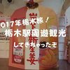 【栃木市観光】栃木駅周遊旅行！たらふく美味いもの食べてきた【2017忘年会】