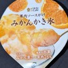 ウチカフェ 果肉ソースがけ みかんかき氷！値段やカロリーや味は？コンビニで買えるアイス商品