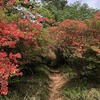 【関八州見晴台】今年もツツジのトンネルを歩きたいー！（黒山三滝→役の行者→見晴台→黒山三滝）