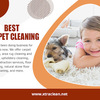 Carpet Cleaning Thousand Oaks