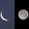 2023年度最小の満月