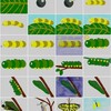 絵本を作ってみようとしたが伝えたい物語がなかった