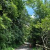 箱根へ行って来た　九頭龍神社・ポーラ美術館（6月20日）