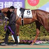 レベンディス、帰厩。