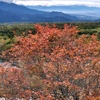 紅葉進む八ヶ岳🍁