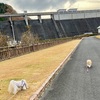 ポーズはバッチリ