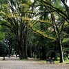 井の頭公園