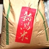 新米とやはたいもの便り（姉弟がつなぐ秋の味覚）