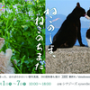 「ねこのしま、ねこのちまた」写真展 のお知らせ