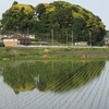 田んぼ風景