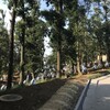 東所沢公園