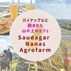 パイナップルに囲まれた山の上のカフェ「Saudagar Nanas Agrofarm」