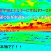 環境省のレッドデータブックに絶滅危惧種に指定されている希少植物。