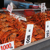 【画像レポ】新潟県長岡市にある、寺泊魚の市場通りに行ってきた