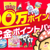 ポイントインカムでお買い物をすると最大１０％バック！3000万ポイントプレゼントキャンペーン！