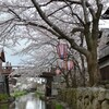 近江八幡　八幡堀の桜その２