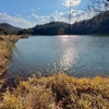 獅子ヶ池（兵庫県神戸）