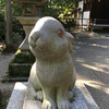 念願のうさぎ神社へ