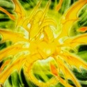 446の好きでやってる遊戯王OCGブログ
