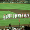 へとへとの虎さんではないから今回は要警戒のカープ