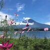 山中湖と河口湖で富士山の撮影