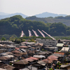 泳げ鯉のぼり相模川 2010