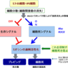 死の舞。世界の終わりの消費行動