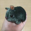 ShoU