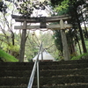 阿上三所神社・・・巨木