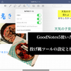 ⑫【GoodNotes5使い方】   投げ縄ツールの使い方と設定